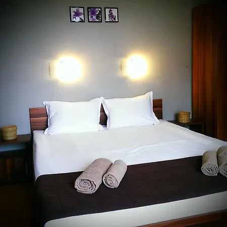Apartment Studio Ambeli *